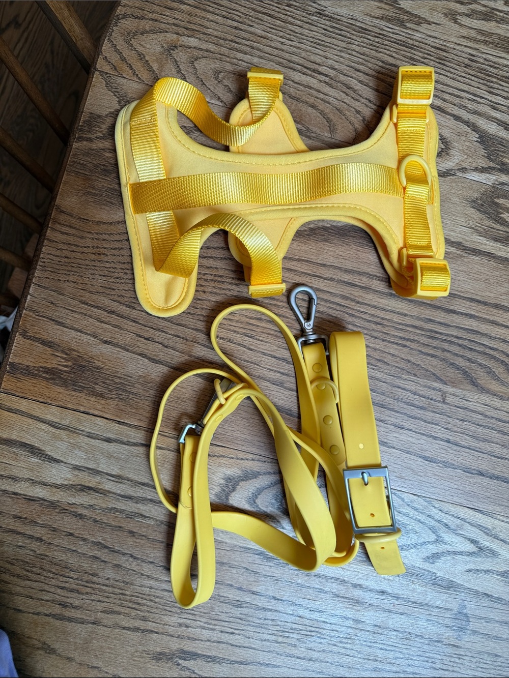 WildOne Pets yellow collar harness and Leash Set